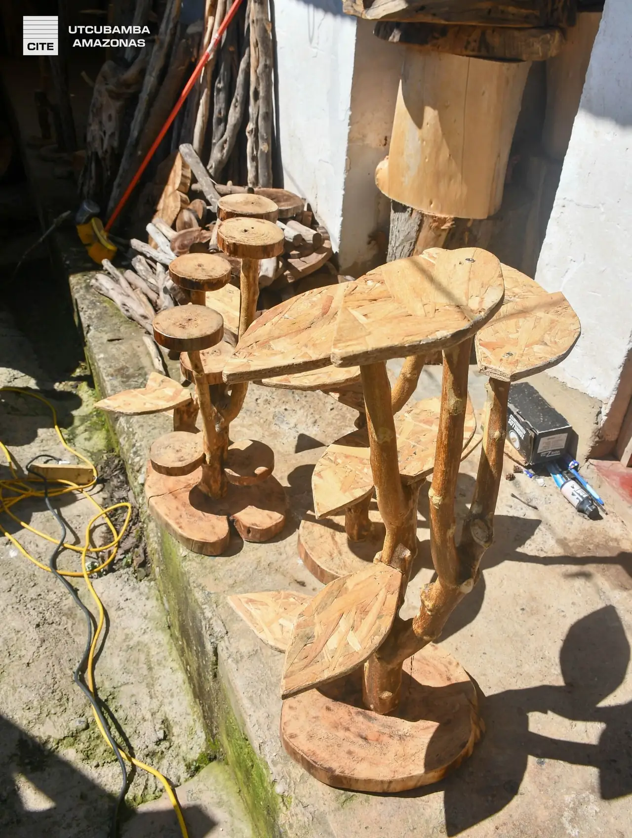 Abraham Piérola Lucana: foto 6 de la galería